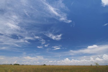 Everglades üzerinde Couds.