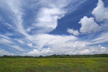 Everglades Milli Parkı Kıyı Çayır üzerinde Cloudscape.