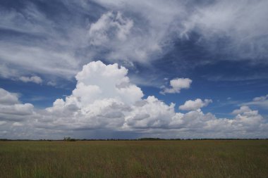 Everglades üzerinde yağmur bulutları.