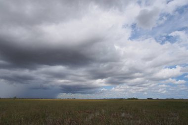 Everglades üzerinde yağmur bulutları.