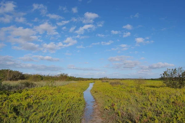 The Coastal Prairie Trail in Everglades National Park. — Stock Photo, Image