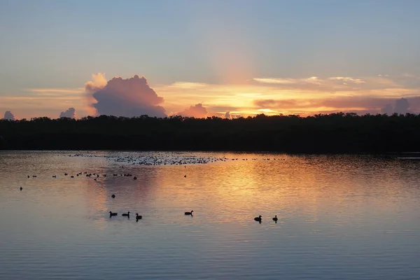 Nascer do sol sobre West Lake em Everglades National Park . — Fotografia de Stock