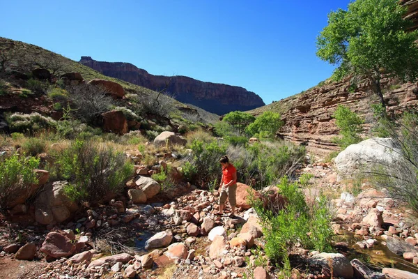 Jonge vrouw verkent Hance Creek in de Grand Canyon. — Stockfoto