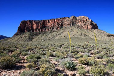 Büyük Kanyon'daki Tonto Patikasından Ayer Noktası'nın görünümü.