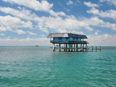 Leshaw House, Stiltsville, Biscayne Ulusal Parkı, Florida.