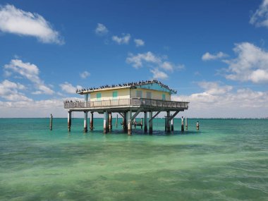 Bay Chateau, Stiltsville, Biscayne Ulusal Parkı, Florida.