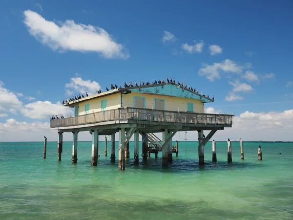 Bay Chateau, Stiltsville, Biscayne Ulusal Parkı, Florida.