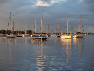 Coconut Grove, Miami, Florida'daki Dinner Key Marina'da demirleme de erken ışık.