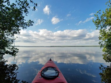 Everglades Milli Parkı Coot Bay üzerinde Kırmızı kayak.