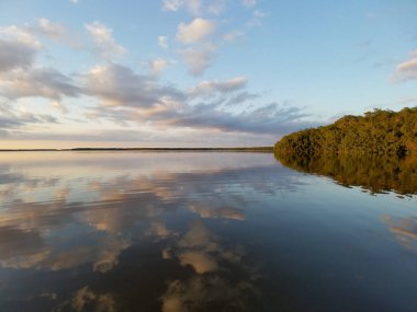 Everglades Milli Parkı Coot Bay yansıyan cloudscape.