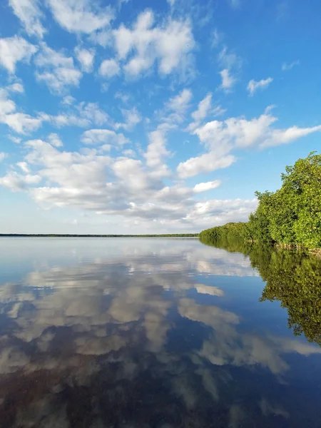 Everglades Milli Parkı Coot Bay yansıyan cloudscape.
