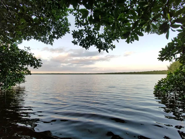 Coot Bay nel Parco Nazionale delle Everglades, Florida . — Foto Stock
