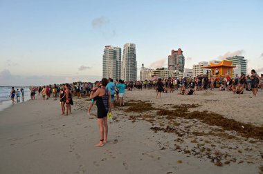 2019 South Beach Triatlon'un katılımcıları ve seyircileri.