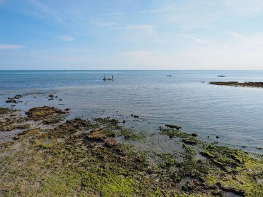Key Biscayne, Florida üzerinde Bear Cut Fosilleşmiş Reef.