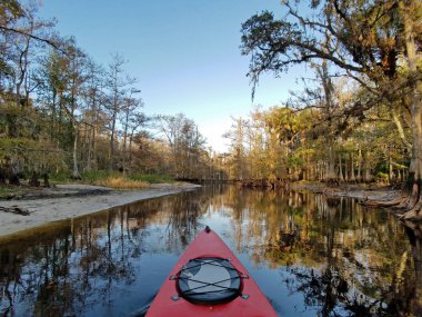 Fisheating Creek kırmızı kayık, Florida.