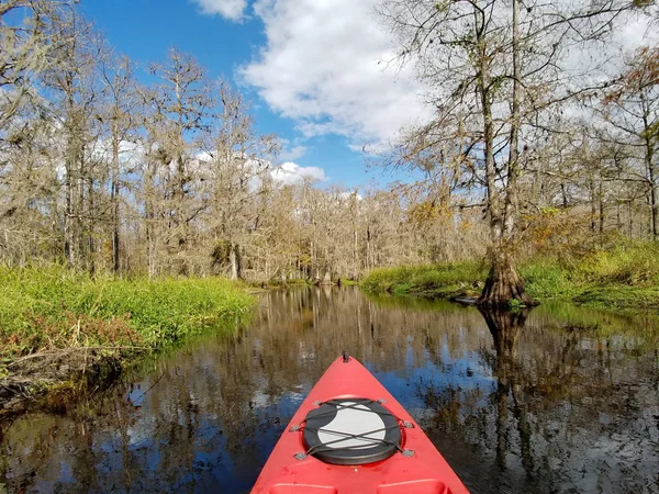 Fisheating Creek kırmızı kayık, Florida.
