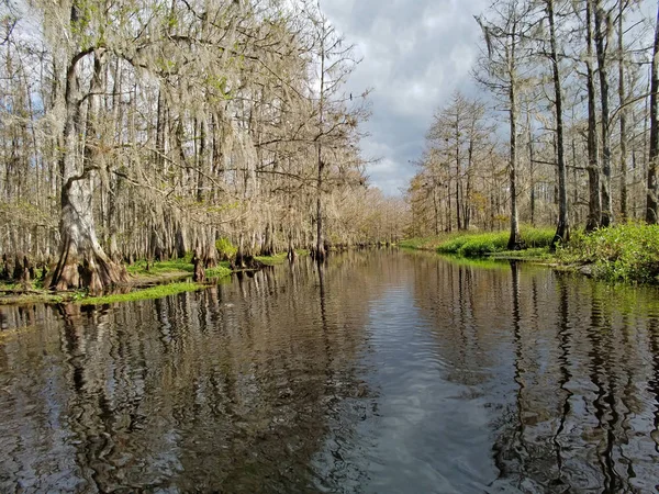 Fisheating Creek près de Palmdale, Floride . — Photo