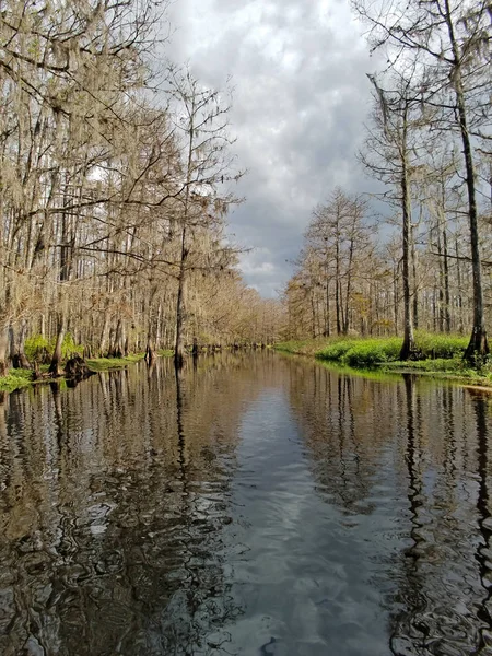 Fisheating Creek cerca de Palmdale, Florida . — Foto de Stock