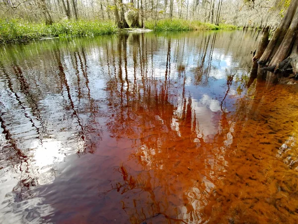 フロリダ州フィシティングクリークのタンニン染色水. — ストック写真