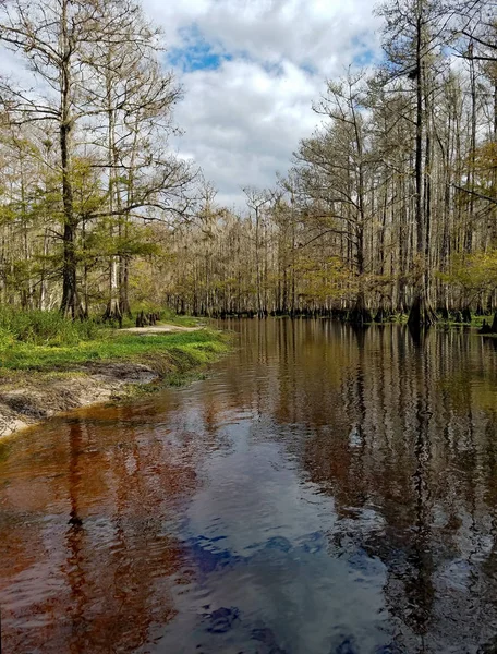 Fisheating Creek near Palmdale, Florida. — Stock Photo, Image