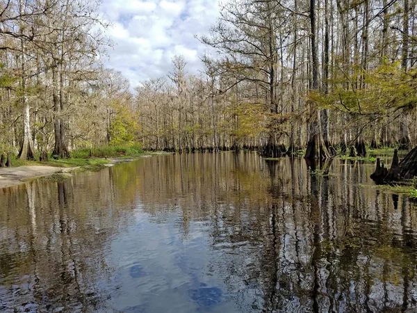 Fisheating Creek vicino a Palmdale, Florida . — Foto Stock