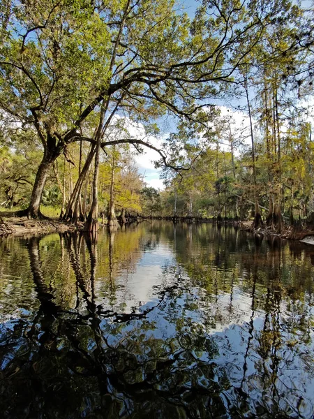 Fisheating Creek near Palmdale, Florida. — Stock Photo, Image