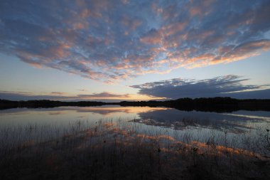 Everglades Milli Parkı'nda gün doğumu ve bulut yansımaları.
