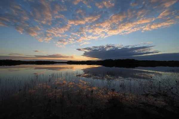 Réflexions du lever du soleil et des nuages dans le parc national des Everglades . — Photo