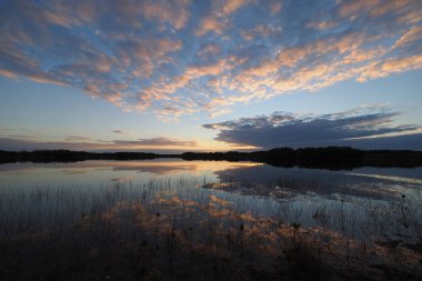 Everglades Milli Parkı'nda gün doğumu ve bulut yansımaları.