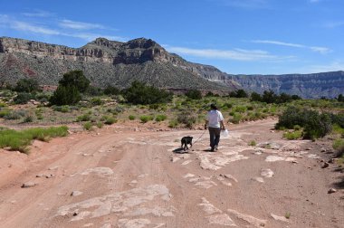 Young woman with her dog at Toroweap in the Grand Canyon. clipart