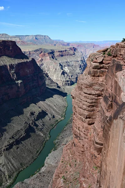 Colorado folyó Toroweap panorámában a Grand Canyon. — Stock Fotó