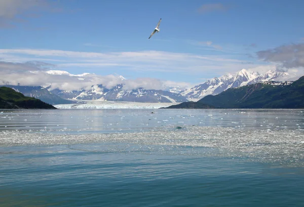 Glaciar Hubbard y Bahía de Yakutat, Alaska . —  Fotos de Stock