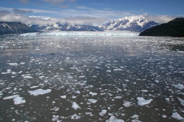 Hubbard Buzulu ve Disenchantment Körfezi, Alaska.