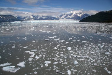 Hubbard Buzulu ve Disenchantment Körfezi, Alaska.