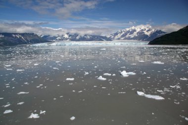 Hubbard Buzulu ve Disenchantment Körfezi, Alaska.