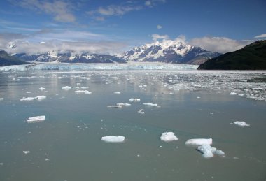 Hubbard Buzulu ve Disenchantment Körfezi, Alaska.