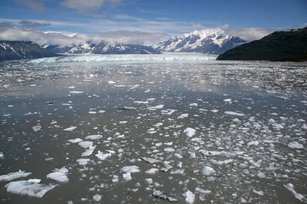 Hubbard Buzulu ve Disenchantment Körfezi, Alaska.