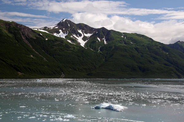 Bergen van Yakutat Bay, Alaska. — Stockfoto