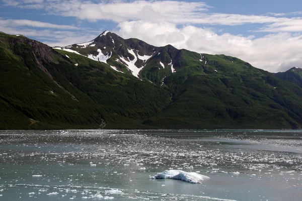 Az alaszkai Yakutat Bay hegyei. — Stock Fotó