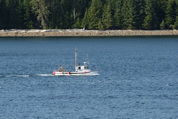 Perahu komersial di Inside Passage, Alaska . — Stok Foto