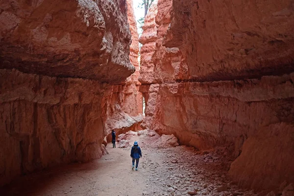 Bryce Kanyonu'nda Navajo Loop Trail genç kadın.