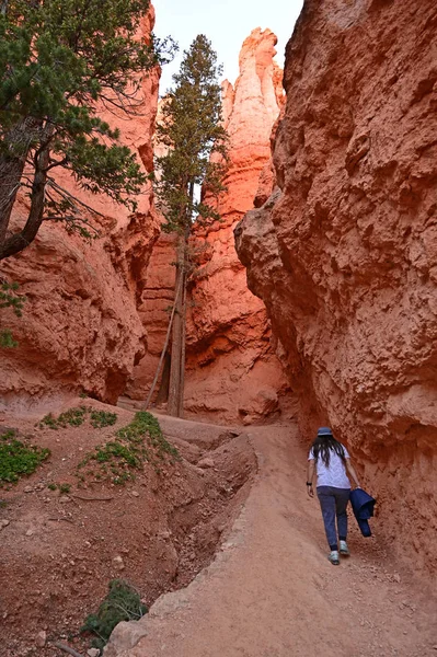 Jonge vrouw op de Navajo Loop Trail in Bryce Canyon. — Stockfoto