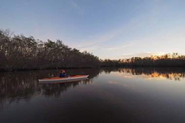 Everglades 'te Coot Körfezi Göleti 'nde kadın kayağı.