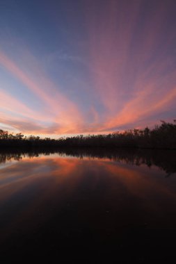 Everglades 'te Coot Bay Pond 'da renkli gün batımı.