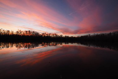 Everglades 'te Coot Bay Pond 'da renkli gün batımı.