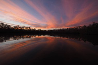 Everglades 'te Coot Bay Pond 'da renkli gün batımı.