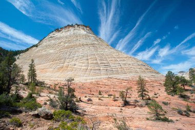Zion Platosu üzerinde Checkerboard Mesa, Utah.
