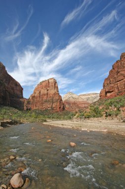 Melekler Ini ve Virgin Nehri Zion Milli Parkı'nda.