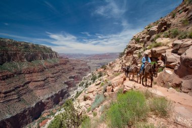 Büyük Kanyon'da Güney Kaibab Trail yükselen Katır tren.