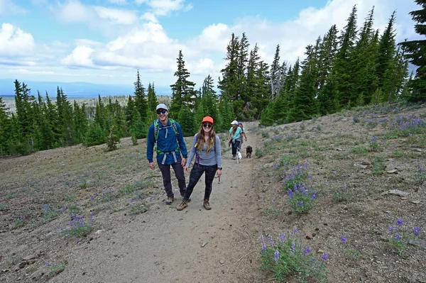 Sisters yakınlarındaki Tam Mcarthur Rim Trail üzerinde Yürüyüşçüler, Oregon.